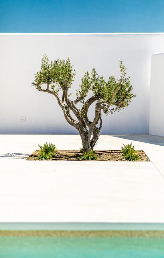 Agia Anna  Petradia Villas מראה חיצוני תמונה